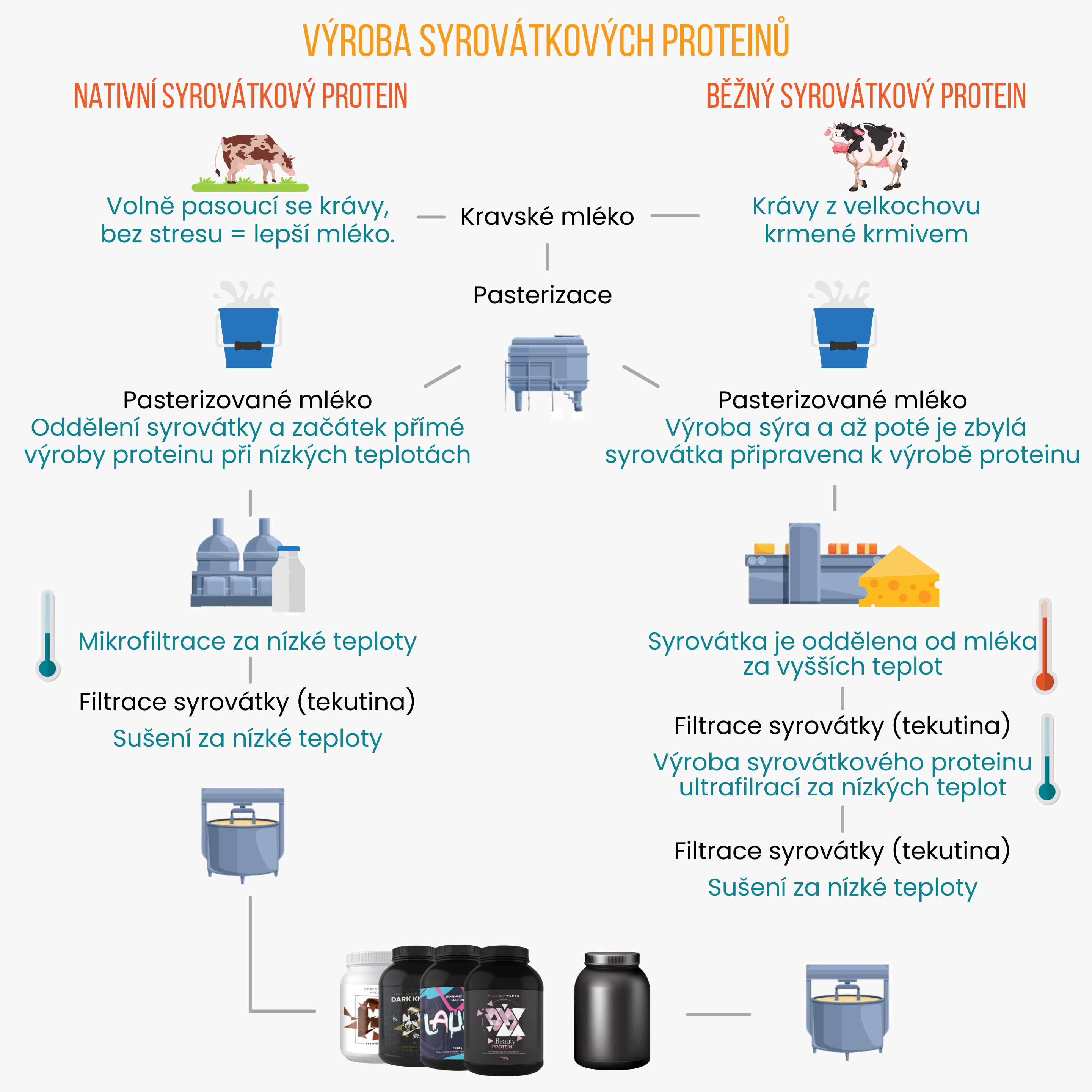 Vyroba proteinu